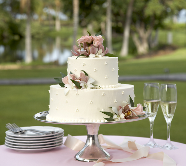 Dudley Wedding Limo Hire Dudley Wedding Limo Hire