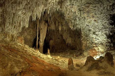 Stag Night Caves