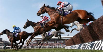 Cheltenham Racecourse Limo 2017