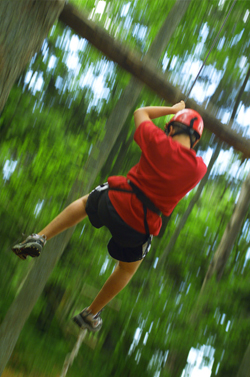 Limo Hire High Ropes Traversing   