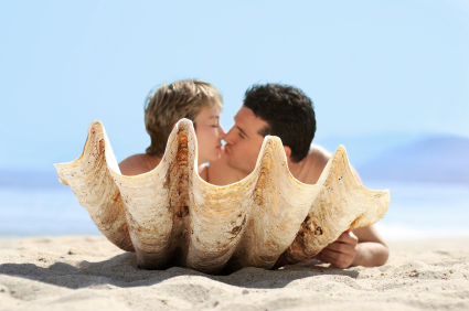Honeymoon Airport Transfer Honeymoon Airport Transfer
