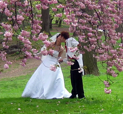 Leicester Wedding Limo Hire Leicester Wedding Limo Hire