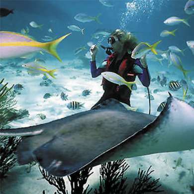 Limo Hire Scuba Diving Limo Hire Scuba Diving