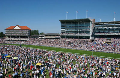 Limo Hire York Races