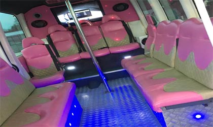 Party Bus Limousine